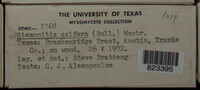 Image Associated With the Occurence